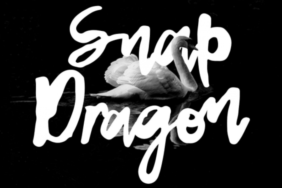 tipografia-snap-dragon-1-1-900x600