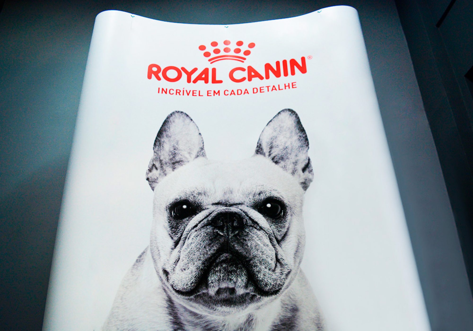 Royal Canin Rações // backdrop painel-backdrop-royal-cannin-1-2000x1400