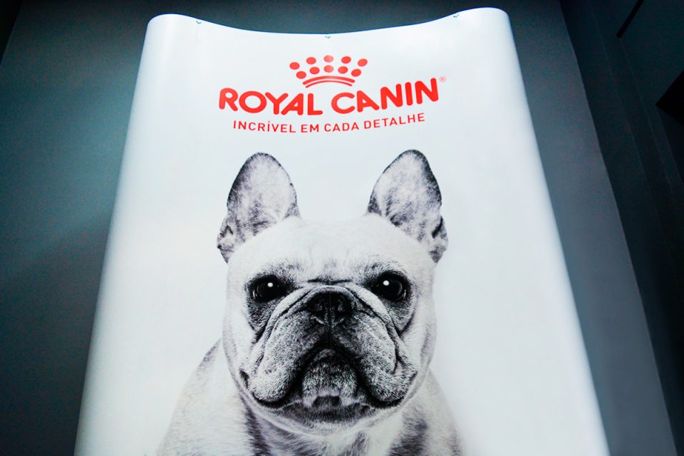 hometeste painel-backdrop-royal-cannin-1-960x640